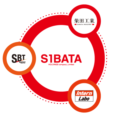 S1BATA HOLDINGS